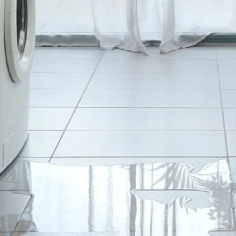Appliance Leak Cleanup in Ocean Shores, WA