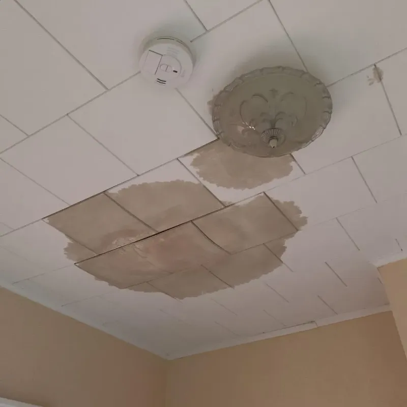 Ceiling Water Damage Repair in Ocean Shores, WA